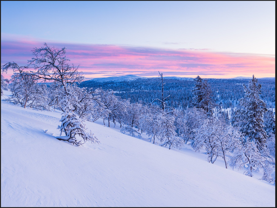 C:\Documents and Settings\mcovington\Desktop\Sierra 1.40\Theme - Winter.JPG